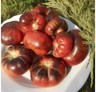 Tomato Pink Siberian Tiger Seeds black pink tomatoes organic Ukraine 20 seeds D