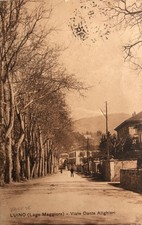 VARESE - Luino - Lago Maggiore - Viale Dante Alighieri - Edizione Al Dilettante