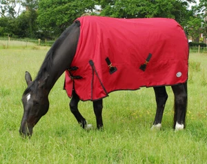 Rhinegold Konig 200G  Mediumweight Horse Turnout Rug 600 Denier Waterproof - Bild 1 von 5