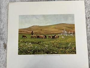 Vintage Lithograph Made In Spain  - Picture 1 of 3