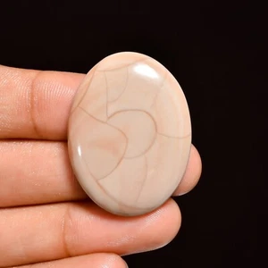 41.50 Cts Natural Willow Creek Jasper Loose Gemstone Oval Cabochon 35X27X6 mm - Picture 1 of 6