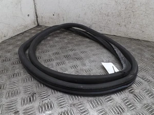 Guarnizione portiera posteriore fuoristrada guida destra Volkswagen Passat B6 2005-2011D - Foto 1 di 4