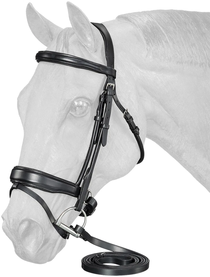 Dressage Bridle and Reins - Equitare Cadence - Removable Flash Noseband - Image 1 of 1