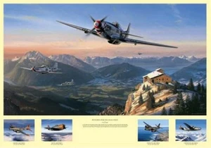 NICOLAS TRUDGIAN Mustangs Over Eagles Nest 7 Sigs P-51D 339th Fighter Group ¡GUAU! - Imagen 1 de 5