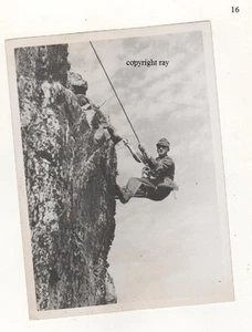 press photo  gebirgjager  tundra  germany  ww2  third reich  wehrmacht - Picture 1 of 2
