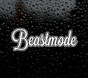 Beastmode Car/Van/Bumper Lift Sticker workout DUB INSTA Beast Mode gym - Picture 1 of 3