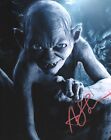 Andy Serkis Signed Lord Of The Rings - Hobbit- Gollum Photo (1)