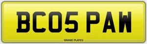 PAWS DOG REGISTRATION BC05 PAW NUMBER PLATE PAWN PAWS DOGGY WALKING DAY CARE REG - Picture 1 of 1