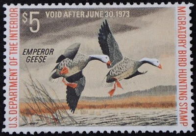 U.S. Mint Stamp Scott #RW39 $5 Duck Stamp. F - VF. Hinged. Choice! - Image 1 of 2