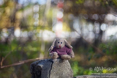 Leitz HEKTOR 85/2.5 converted to M42 with focusing | SAMPLES | Leica - Image 1 of 4