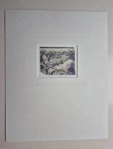 Vintage William Eley Kunst Efeu Rebe oder Weinrebe Druck, 4" x 3" - Bild 1 von 3