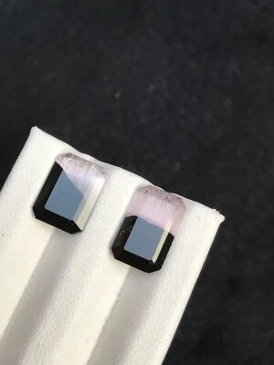 9.1ct Natural Bicolor Tourmaline Pair Nice Color and Luster from Afghanistan - Image 1 of 4