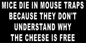 Ratones mueren en ratoneras calcomanía de vinilo trampas para ratones política divertida pegatina ventana de camión - Imagen 1 de 1