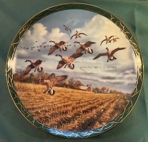 Danbury Mint Winged Glory Wild Bird Collector Plates- David Maas- Choice - Picture 1 of 2
