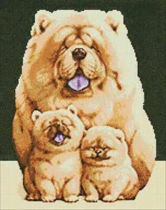 Fluffy Family WD187 14,9 x 18,9 Zoll Basteln Funke Diamond Painting Kit - Bild 1 von 6