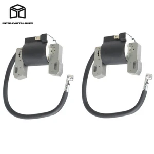 Paquete de 2 bobinas de encendido aptas para Briggs & Stratton 691060 799651 499447 592846 - Imagen 1 de 12