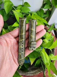 Size 20/18 mm Green Genuine  Ostrich Leather Skin Watch Strap Band- CURVED END - Picture 1 of 8