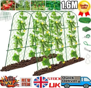 Garden Trellis U-Frame for Climbing Plant Vegetable Fruit Support Stand Full Set - Picture 1 of 12