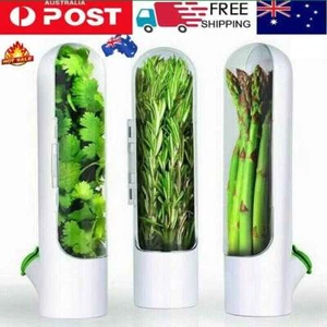 Kitchen HSWb Saver Keeper for Fresh Produce Refrigerator Herbs Storage Container - Picture 1 of 17
