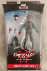 Hasbro Marvel Legends Series Miles Morales Spider-Man Into the SpiderVerse NEW