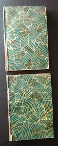 The Works Of Edgar Allan Poe 1905 Thomas Nelson Softcover Paperback Vol 2 And 3 - Picture 1 of 15