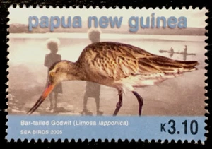 Exotic Birds of the Pacific Godwit Papua & New Guinea K$3.10 Mint (MNH) Stamp - Picture 1 of 1
