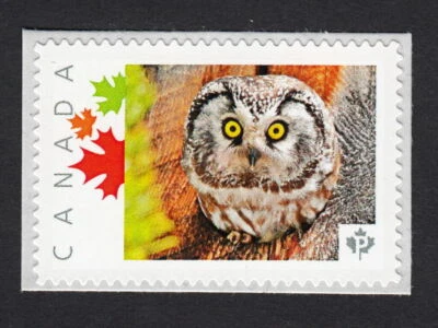 OWL in  HOLLOW = Picture Postage personalized Stamp Canada 2015 MNH p15-01-sn05 - Image 1 of 2