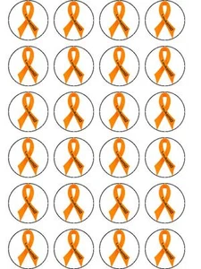 24 X LEUKAEMIA / LEUKEMIA ORANGE CANCER RIBBON WAFER PAPER CUPCAKE TOPPERS - Picture 1 of 1
