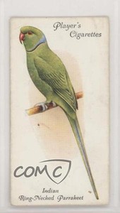 1933 Player's Aviary and Cage Birds Tobacco Indian Ring-Necked Parrakeet #25 2k3