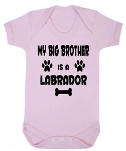 Body de bebé My Big Brother (o Sister) Is A Labrador azul o rosa de algodón - Imagen 1 de 5