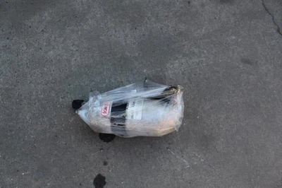 Jaguar XK8 1997 1998 1999 2000 AIRE ACONDICIONADO AIRE ACONDICIONADO RECEPTOR LÍNEA SECADORA MJA7410AD Foto 1 de 4