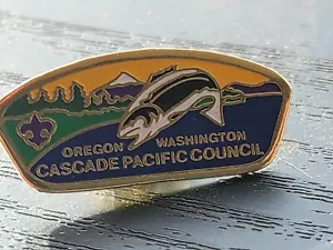 vintage BSA pin Cascade Pacific Council OREGON WASHINGTON MINT PERFECT env13 - Picture 1 of 4