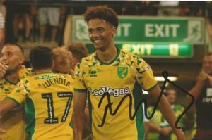 NORWICH: JAMAL LEWIS SIGNED 6x4 ACTION PHOTO+COA - Imagen 1 de 1