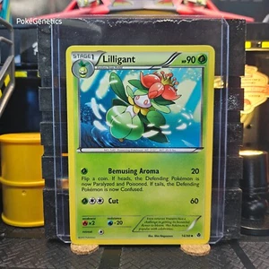 Pokémon Poteri Emergenti Lilliganti TCG 14/98 Bianco e Nero 2 Non Comuni - Foto 1 di 6