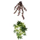 Set of 2, Reptile Terrarium Leaves Vines Vivarium Ornament Artificial Plants