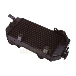 Water Cooling Radiator Cooler For Honda NX250 1988-1993 1989 199219001-KW3-004 - Picture 1 of 5
