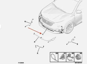 Nuevo Genuino Peugeot 2008 II Parachoques Delantero DRL Luces Antiniebla PDC Arnés Cableado Telar  - Imagen 1 de 6