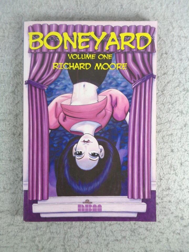 Boneyard Vol 1 Richard Moore Paperback Graphic Novel NBM Publishing 2002 - Image 1 of 4