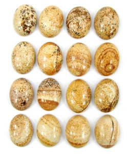 219,20 Ct Naturbild Jaspis Edelstein 15x20 mm Cabochon 16 Stck. Posten - 61194 - Bild 1 von 2