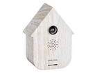 Karlsson Sound Box Modern Cuckoo - White Wash (KA6095WH)