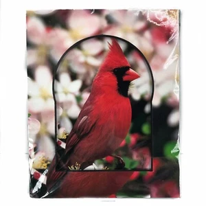 Cardinal Bird Photo 2008 One of a Kind Giclee Print Artist Signed 8"x10" Matted - Picture 1 of 6