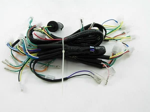 TAOTAO ROMAN CY 150-E 150cc SCOOTER COMPLETE WIRING HARNESS *OEM* - Picture 1 of 2