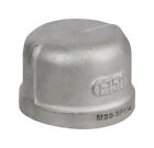 Smith-Cooper 4638100090 Stainless Steel Lead-Free Cap 2 Dia. in. FPT