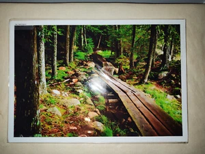 Balancing Act Photograph by Ericka Markley - 13"x19" - Picture 1 of 8