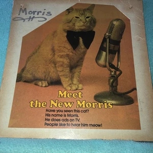 Vintage Morris The Cat A Cardboard Ad - Bild 1 von 5