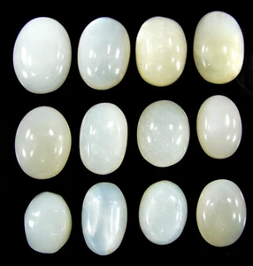 119.50 Ct Natural Moonstone Loose Gemstone 15-20 mm Cabochon 12 Pcs Lot - 61561 - Picture 1 of 2