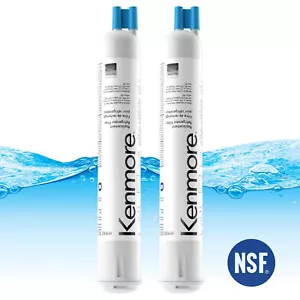 1-6 Pack Kenmore 9083 Refrigerator Cartridge Water Filter 469083 9020 9030 US - Picture 1 of 13