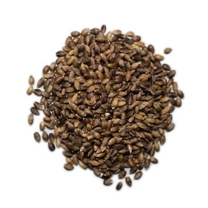 Bulk Bucket of Organic Purple Barley (25 Lb. Bucket) - Picture 1 of 1