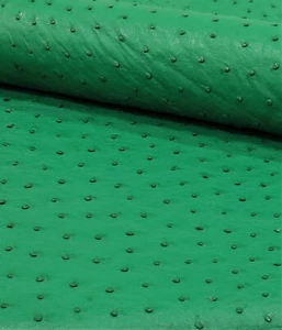 Ostrich Leather Skin Jellybean SF - Picture 1 of 4