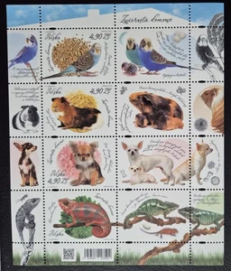 Poland  2025 / Domestic animals / 8v ms - Picture 1 of 1